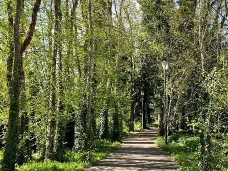 Maison spacieuse près de Troyes avec jardin et animaux acceptés - Photo 20