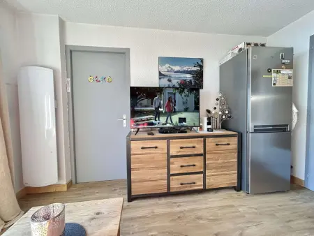 Appartement 2 pièces avec coin montagne à Praz-Sur-Arly - 6 personnes - Photo 4