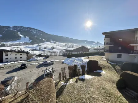 Appartement 2 pièces avec coin montagne à Praz-Sur-Arly - 6 personnes - Photo 22