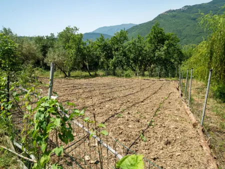 Nonna Gemma, Gite 5 personnes à Marina di San Vito - Photo 23