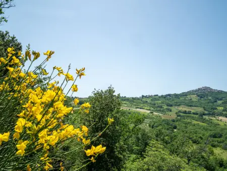 Nonna Gemma, Gite 5 personnes à Marina di San Vito - Photo 45