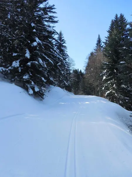 Appartement confortable à Ignaux, 31 m² avec piscine - Photo 17