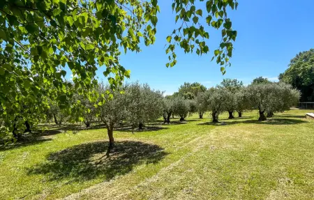 Belle maison accès étang, Maison 6 personnes à Cabrières d'Aigues - Photo 9