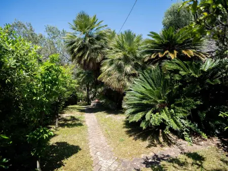 Villa Girasole, Villa 6 personnes à Alassio - Photo 34