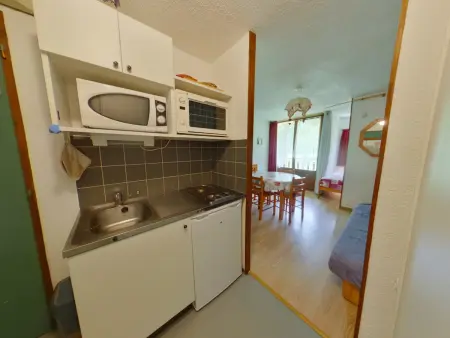 Studio lumineux avec loggia proche village des Rousses - Photo 6