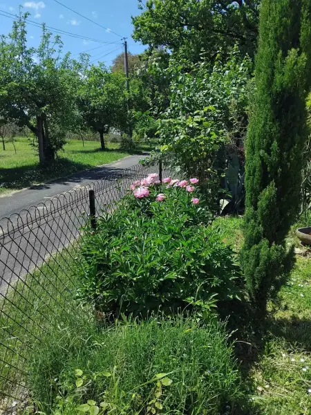 Charmant appartement 2 chambres à Saint-Geniès avec jardin - Photo 25