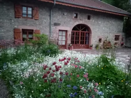 Gîte du Champ du Bois : Confort au cœur des Vosges - Photo 1