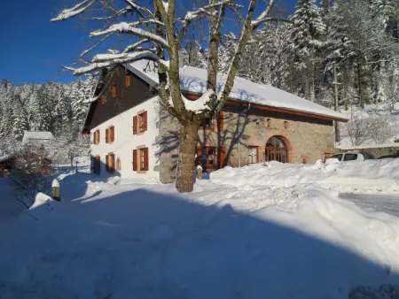 Gîte du Champ du Bois : Confort au cœur des Vosges - Photo 15