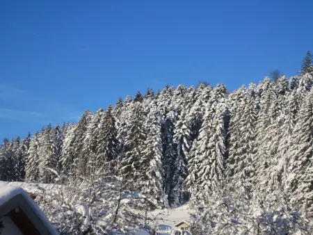 Gîte du Champ du Bois : Confort au cœur des Vosges - Photo 16