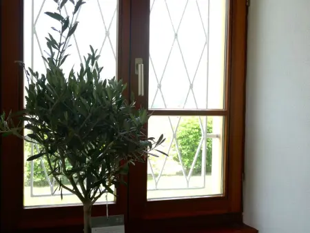 La Monda, Maison 4 personnes à Malvaglia - Photo 8
