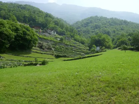 La Monda, Maison 4 personnes à Malvaglia - Photo 37