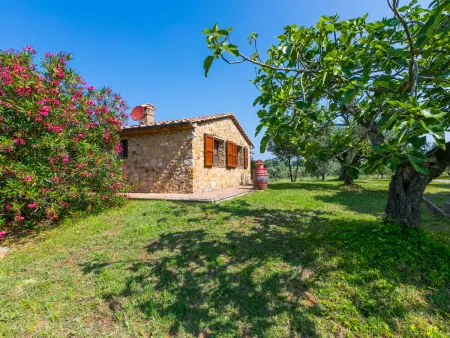 Rustico, Maison 5 personnes à Bibbona - Photo 13