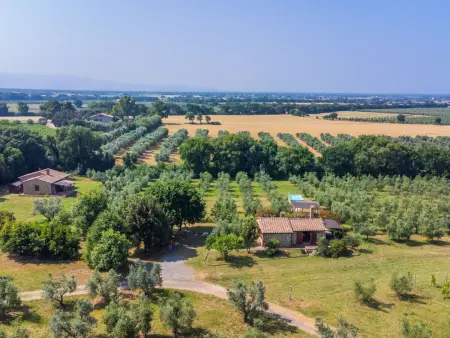 Rustico, Maison 5 personnes à Bibbona - Photo 46