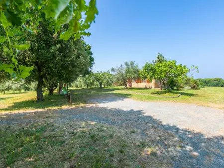 Rustico, Maison 5 personnes à Bibbona - Photo 49
