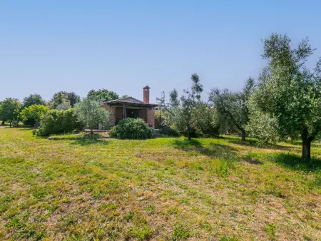 Rustico, Maison 5 personnes à Bibbona - Photo 52