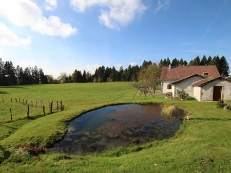 Gîte de charme dans les Vosges Saônoises, Gite 8 personnes à Saint Bresson - Photo 24