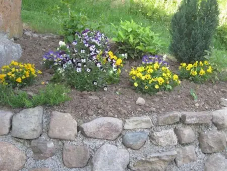 Gîte de charme dans les Vosges Saônoises, Gite 8 personnes à Saint Bresson - Photo 29