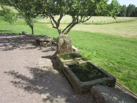 Gîte de charme dans les Vosges Saônoises, Gite 8 personnes à Saint Bresson - Photo 30