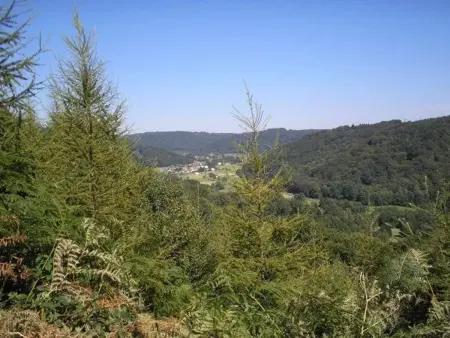 Gîte paisible dans ancienne ferme comtoise avec animaux acceptés - Photo 33