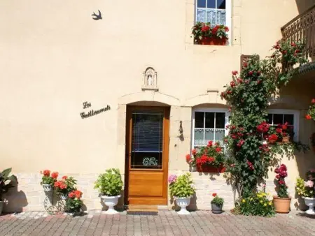Charmant gîte restauré dans un village forestier - Photo 18