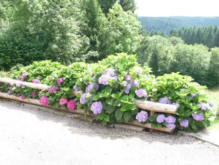 Gîte Nature Isolé 6 Pers. Animaux Acceptés, Gite 6 personnes à La Rosière - Photo 23