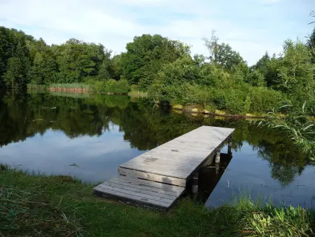 Gîte Nature Isolé 6 Pers. Animaux Acceptés, Gite 6 personnes à La Rosière - Photo 27