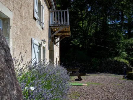 Gîte du Bois des Hauts : Confort en pleine nature, proche Plateau des 1000 Étangs - Photo 34