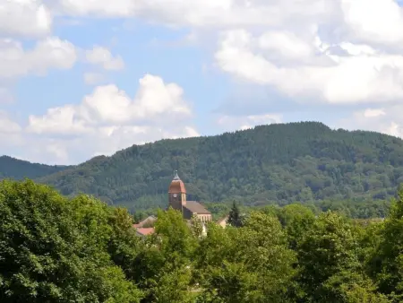 Gîte familial dans les Vosges avec WiFi inclus, Gite 6 personnes à Saint Bresson - Photo 25