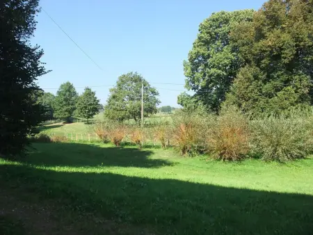Gîte calme à Fougerolles, idéal pour familles - Photo 17