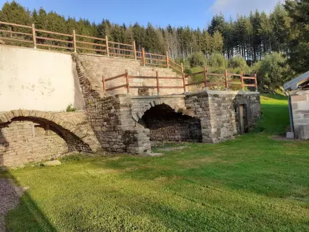 Gîte nature rénové dans les Vosges Saônoises - Photo 29