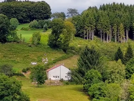 Gîte nature rénové dans les Vosges Saônoises - Photo 33