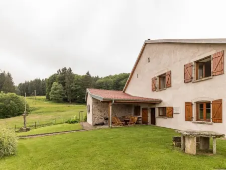 Ancienne ferme rénovée dans les Vosges, Gite 12 personnes à La Longine - Photo 32