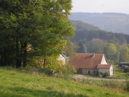 Ancienne ferme rénovée dans les Vosges, Gite 12 personnes à La Longine - Photo 33