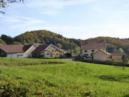 Ancienne ferme rénovée dans les Vosges, Gite 12 personnes à La Longine - Photo 35
