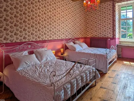 L'Échappée : Gîte Authentique avec Spa à Faucogney-et-la-Mer - Photo 12