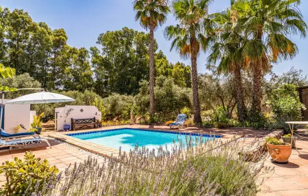 Maison 6 personnes à Algodonales - Photo 11