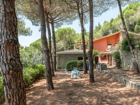 Sabrina, Maison 6 personnes à Castiglione della Pescaia - Photo 5