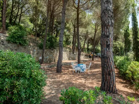 Sabrina, Maison 6 personnes à Castiglione della Pescaia - Photo 29