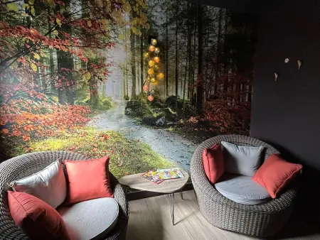 Lodge élégant avec spa privatif et espace bien-être - Photo 30