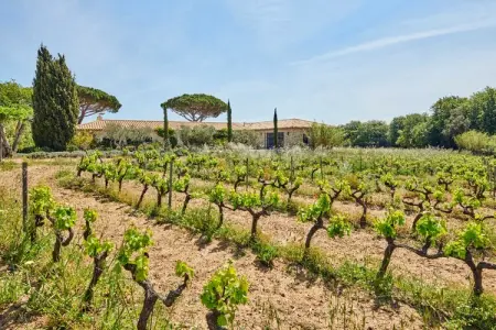 MC-785-COLLEBASSE, Magnifique villa - AC- 5BR-12P- Ramatuelle - Photo 34