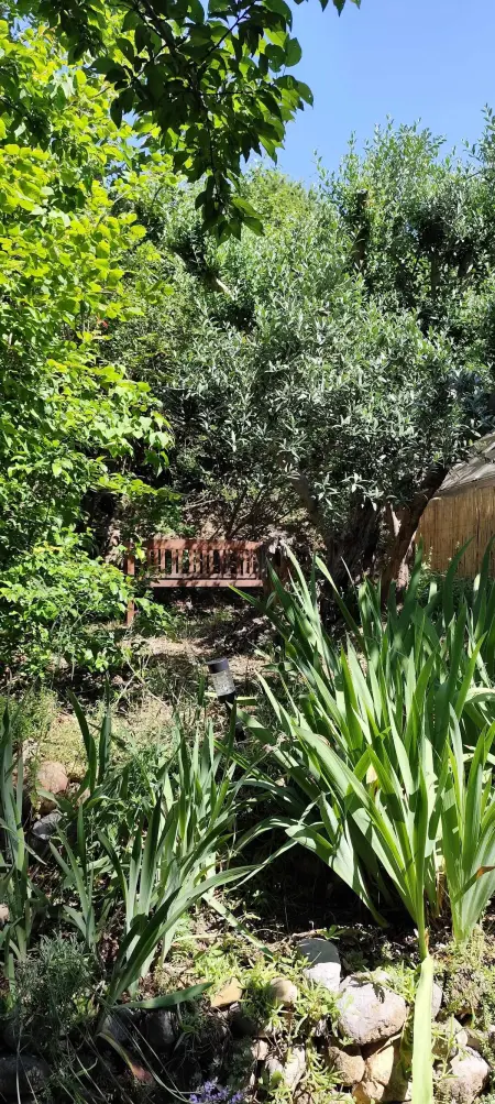 Maison conviviale avec jardin à Bras-d'Asse, Maison 4 personnes à Bras d'Asse - Photo 15