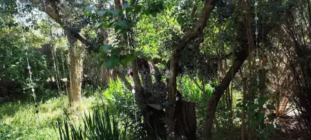Maison conviviale avec jardin à Bras-d'Asse, Maison 4 personnes à Bras d'Asse - Photo 34