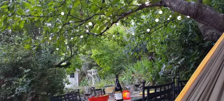 Maison conviviale avec jardin à Bras-d'Asse, Maison 4 personnes à Bras d'Asse - Photo 36