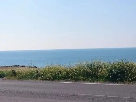 Le Croisic : 2 pièces avec terrasse face mer - Animaux admis - Photo 2