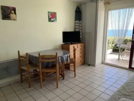 Le Croisic : 2 pièces avec terrasse face mer - Animaux admis - Photo 4