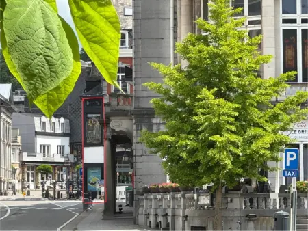 Le Cent Quarante, Logement insolite large de 140cm au cœur de Spa - Photo 32