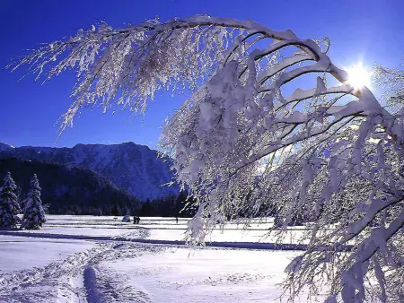 Bel appartement au pied des pistes, accueillant et lumineux - Photo 15