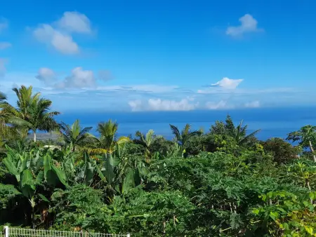 Gîte Bec Rose à mi-hauteur avec vue sur la côte, 2 chambres - Photo 12