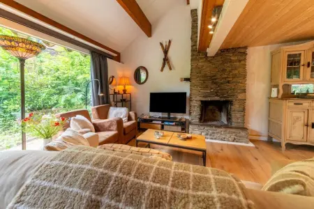 Ecarlate 27, Chalet à Hastière près du château - Photo 7
