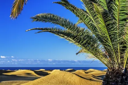 Las Adelfas South Beach 5 By CanariasGetaway, Appartement près de la plage San Agustín - Photo 22